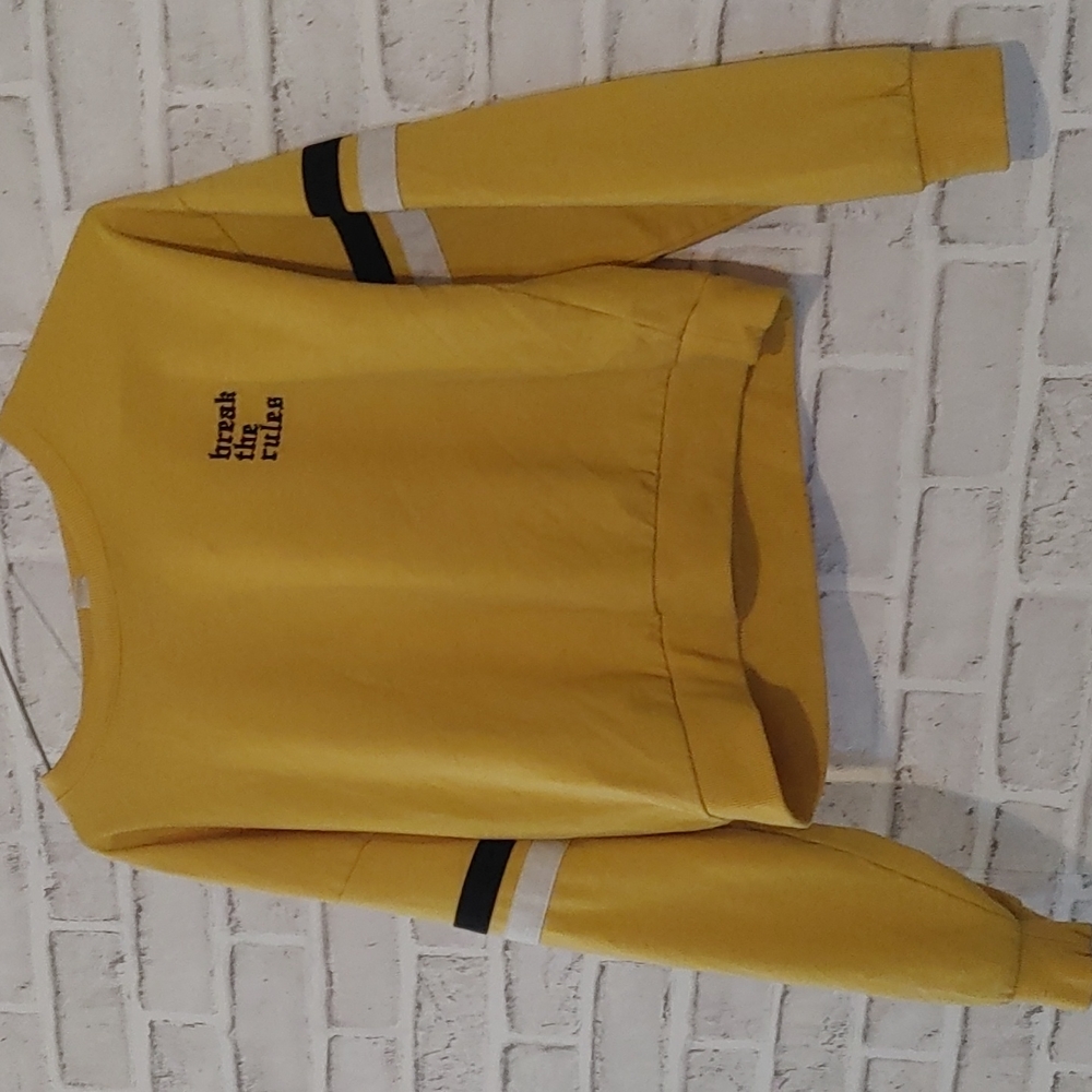 Forever 21 cropped "break the rules" crewneck sweater